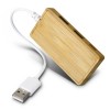 Bamboo USB Hubs Back